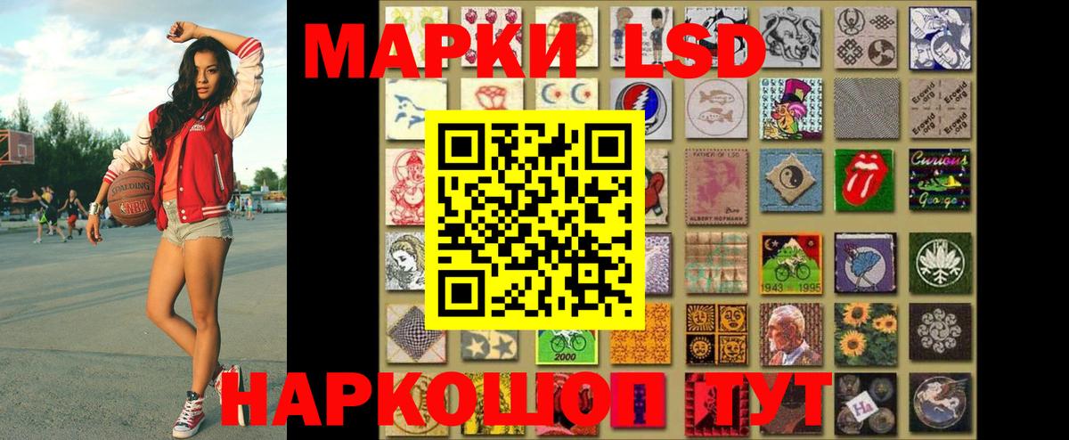 Наркотические марки 1500мкг  Марки N-bome  Вход с VPN  Петропавловск-Камчатский  Наркотические марки 1500мкг 