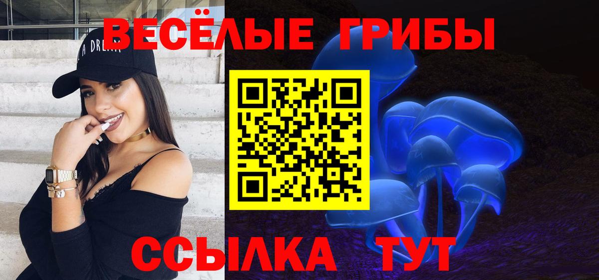 Псилоцибиновые грибы Cubensis  Галлюциногенные грибы MAGIC MUSHROOMS  Петропавловск-Камчатский  Вход с VPN 
