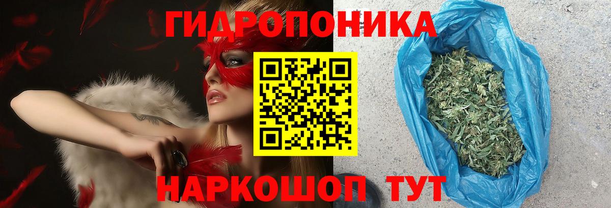 Конопля White Widow  МАРИХУАНА семена  Вход с VPN  Петропавловск-Камчатский  Канабис Amnesia 