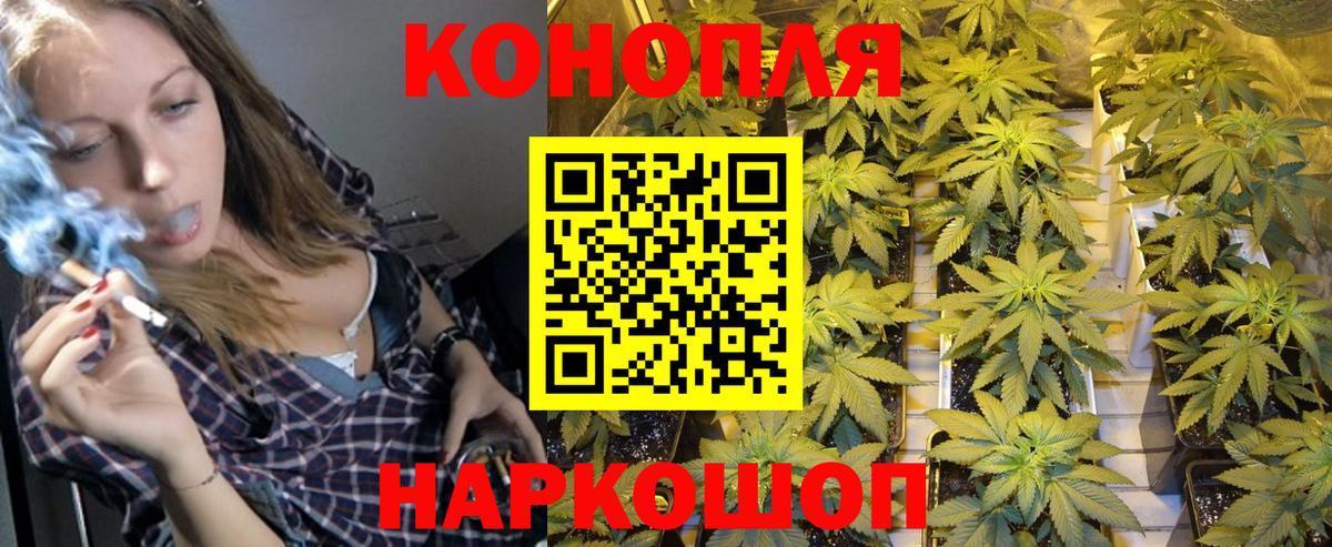 Марихуана марихуана Петропавловск-Камчатский